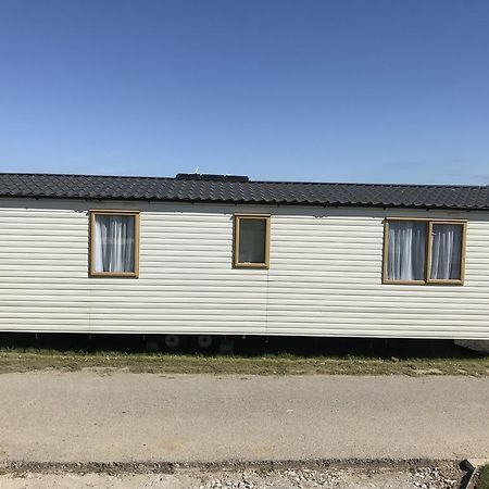 Ladyevelyn Hotel New Quay Eksteriør billede